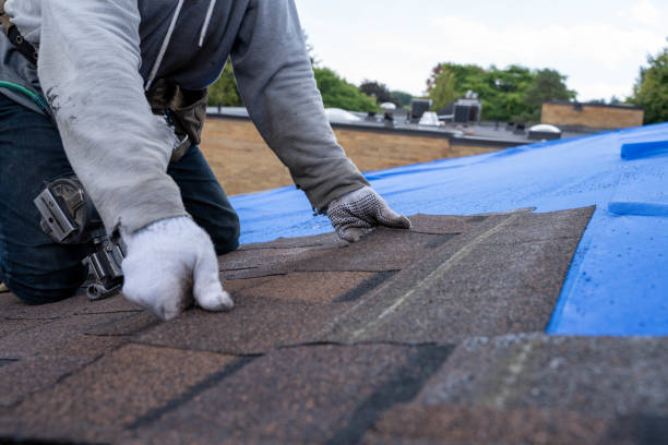 Best Roof Maintenance Services  in Ford City, PA